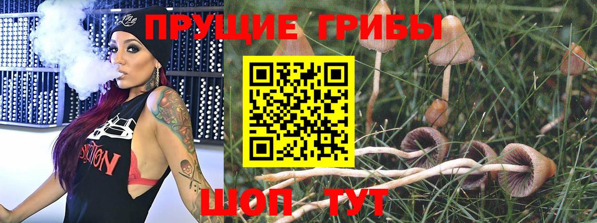 Галлюциногенные грибы мухоморы Кубинка