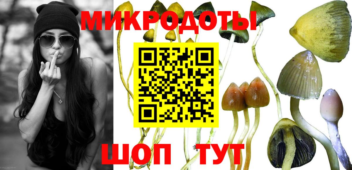 Галлюциногенные грибы Psilocybine cubensis  Галлюциногенные грибы MAGIC MUSHROOMS  Вход с VPN  Кубинка 